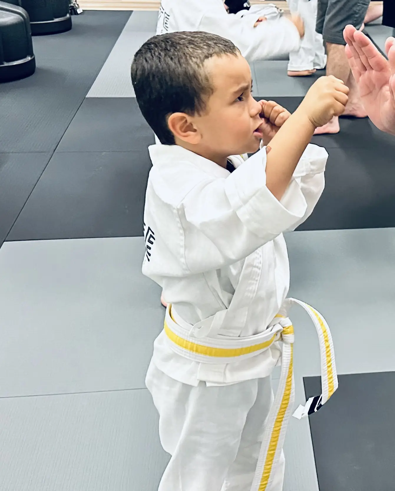 Martial Arts School Near Me in Green Bay | Elevate Martial Arts